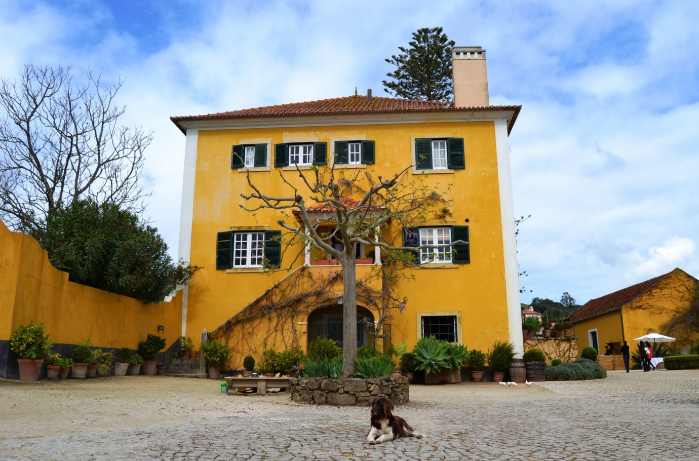 Quinta de Sant’Ana (Mafra, Lisboa) Joli